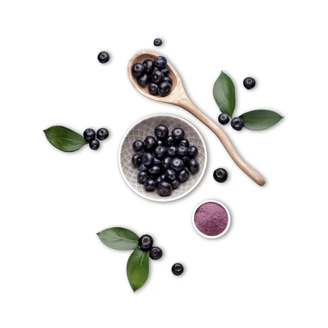 Acai bobule a prášok | miska s ovocím | acaico.eu Acai bobule a prášok | miska s ovocím | acaico.eu