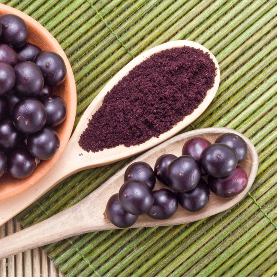 acai bobule a prášok | prírodné antioxidanty | acaico.eu