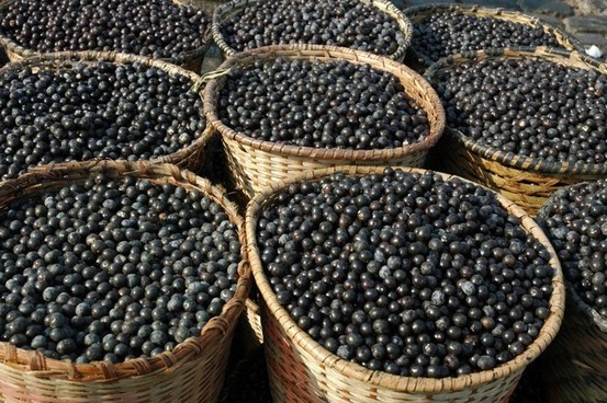Acai zdravie