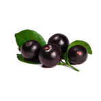 bobule acai | acaico.eu