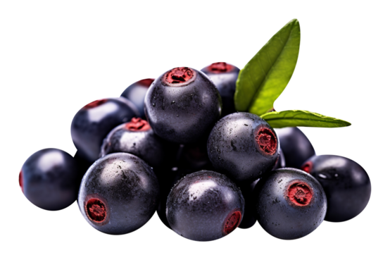 bobule acai ako zdroj antioxidantov | acaico.eu