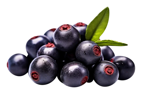 bobule acai ako zdroj antioxidantov | acaico.eu