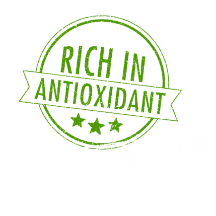 bohaté na antioxidanty a 100% prírodné | acaico.eu bohaté na antioxidanty a 100% prírodné | acaico.eu